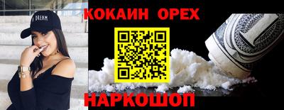 шишки Дубна