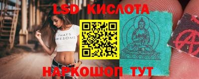 шишки Дубна