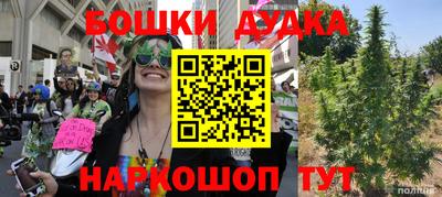 шишки Дубна