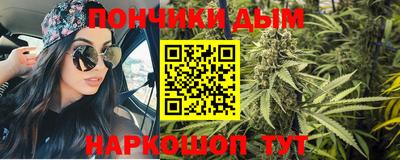 шишки Дубна