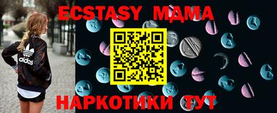шишки Дубна