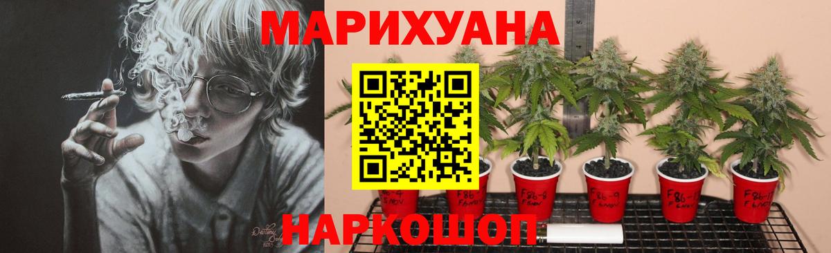 Шишки марихуана семена  Марихуана конопля  Саки  Вход с VPN 